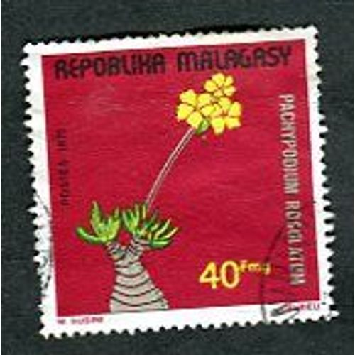 Timbre Oblitéré - " Pachypodium Rosulatum " - Republika Malagasy - 1975