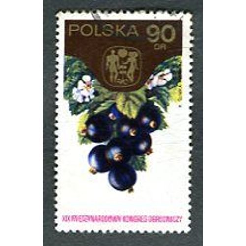 Timbre Oblitéré - " Black Currants " - Pologne - 1974