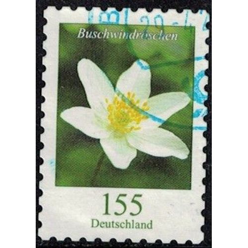 Allemagne 2019 Oblitéré Used Fleur Anemone Nemorosa Anémone Des Bois Y&t De 3257 Su