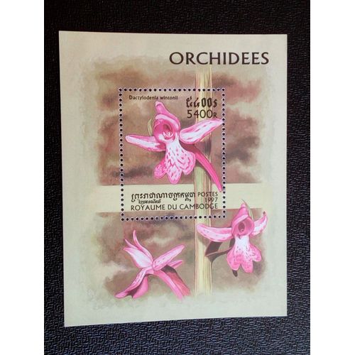 Timbre Cambodge Yt Bf 133 Orchidées X Dactylodenia Wintonii 1997 ( 080404 )