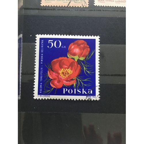 Timbre Pologne 1964 Rose Monique