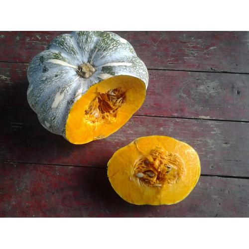 Graines De Giraumon, Courge Ou Potiron Moschata