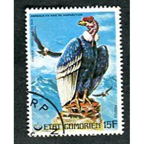 Timbre Oblitéré - " Andean Condor (Vultur Gryphus) " - République Des Comores - 1976