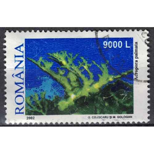 Roumanie 2002 Oblitéré Used Animal Acropora Palmata Corail Corne DÉlan Su