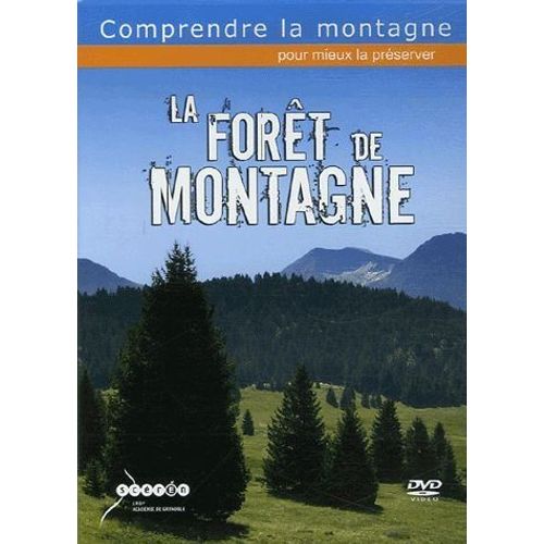 La Forêt De Montagne