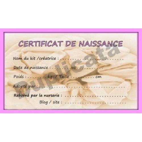Certificat De Naissance Bébé Reborn Poupée Nurserie Reborning Création Enfant Poupon Nouveau Né