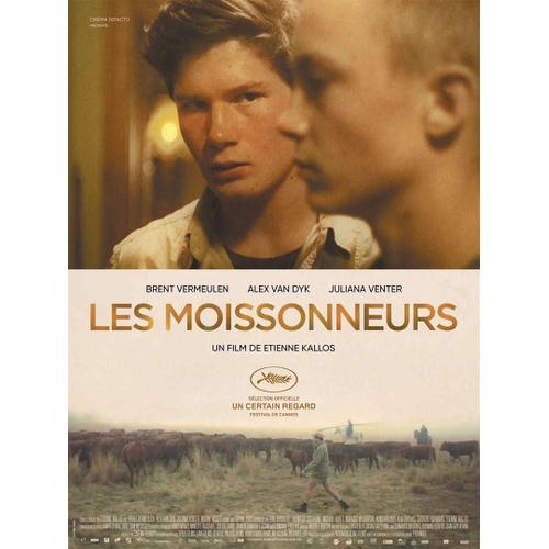 Les Moissonneurs - Véritable Affiche De Cinéma Pliée - Format 40x60 Cm - De Etienne Kallos Avec Brent Vermeulen, Alex Van Dyk, Juliana Venter - 2019