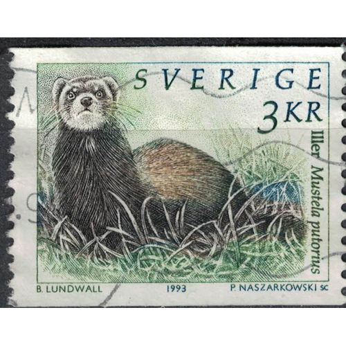 Suède 1993 Oblitéré Used Animal Mustela Putorius Putois D'europe Su