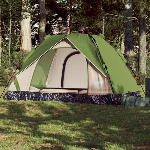 Vidaxl Tente De Camping À Dôme 2 Personnes Vert Libération Rapide