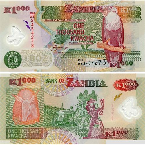 1000 Kwacha Polymere (Zambie)