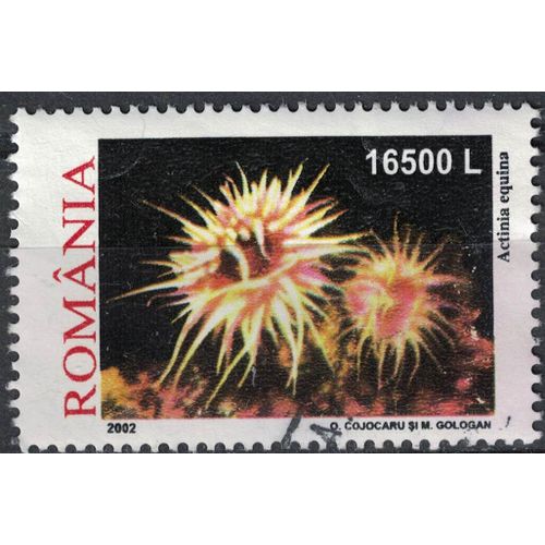Roumanie 2002 Oblitéré Used Animal Anémone Actinia Equina Cubasseau Su