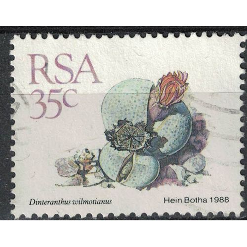 Afrique Du Sud 1988 Oblitéré Used Plante Dinteranthus Wilmotianus Su