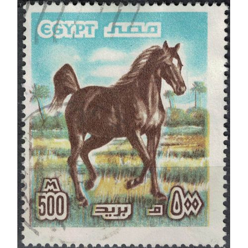 Egypte 1978 Oblitéré Used Arabian Horse Animal Cheval Arabe Equus Ferus Caballus Su