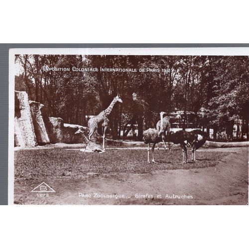 Carte Postale De Paris : Exposition Coloniale Internationale De 1931, Parc Zoologique : Girafes Et Autruches (Réf.1273)