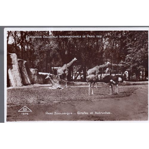 Carte Postale De Paris : Exposition Coloniale Internationale De 1931, Parc Zoologique : Girafes Et Autruches (Réf.1276)