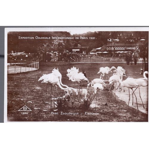 Carte Postale De Paris : Exposition Coloniale Internationale De 1931, Parc Zoologique : Flamants (Réf.1282)