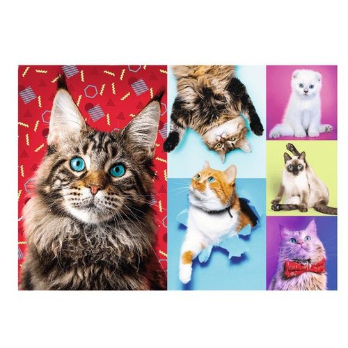 Puzzle 1000 Pièces Happy Cats