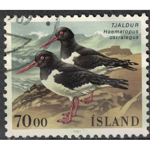 Islande 1987 Oblitéré Used Oiseau Haematopus Ostralegus Huîtrier Pie Su