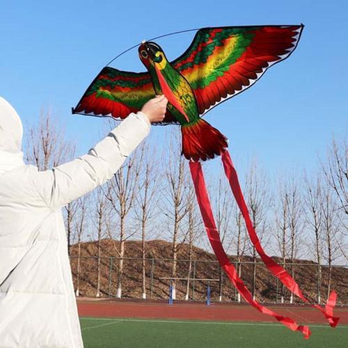 Cerf-Volant D'extérieur Pour Enfants, Jouet, Oiseau, Perroquet, Nouveauté, 1 Pièce