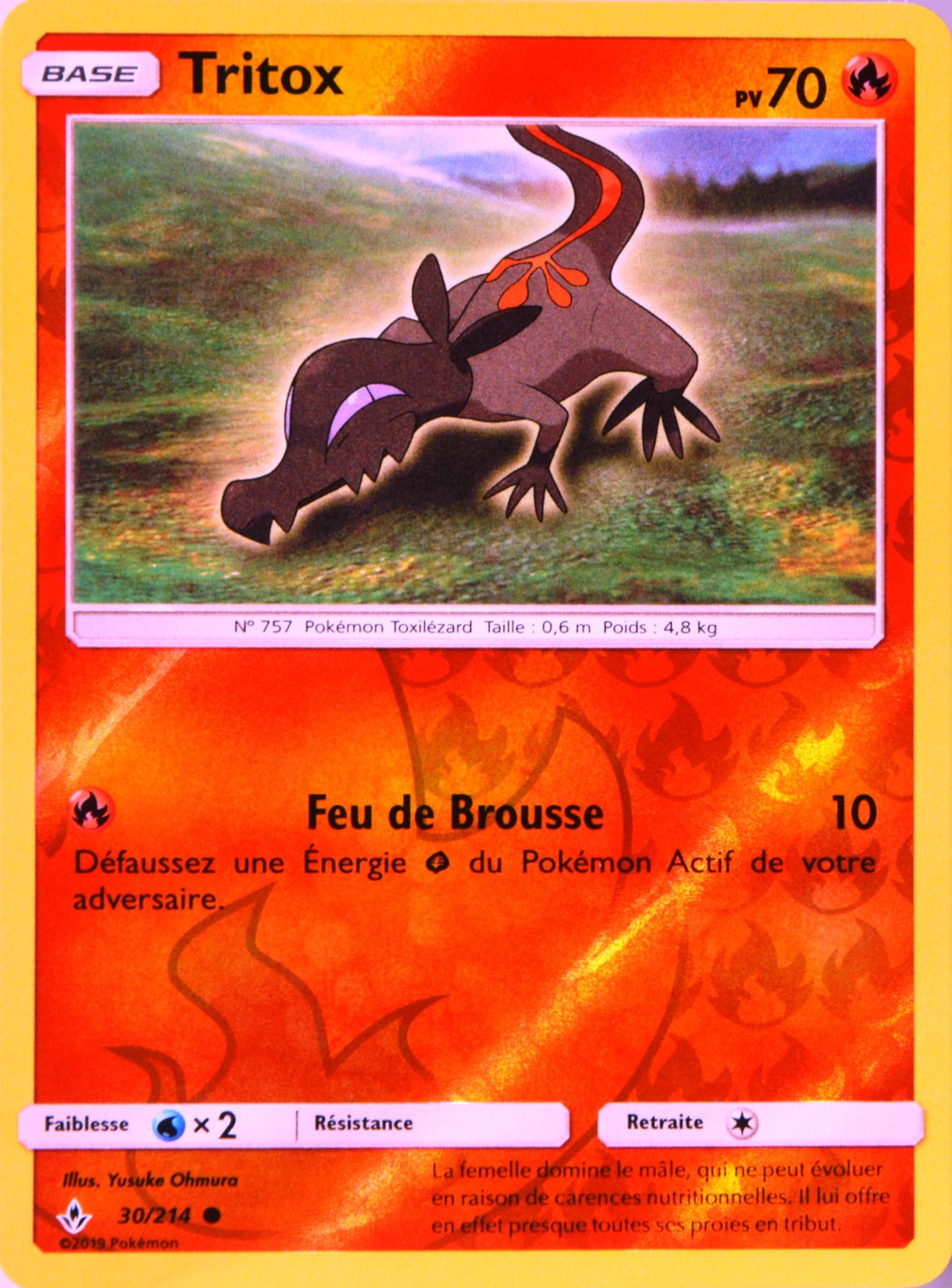SL10-30/214 VF Français Pokemon Reverse Tritox