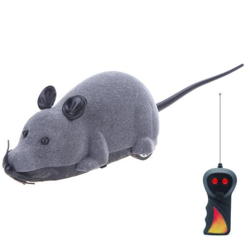 Souris Électrique Pour Chat, Jouet Amusant Et Effrayant, Télécommande Sans Fil, Pour Chaton