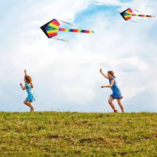 Grand Cerf-Volant Arc-En-Ciel Pour Les Vacances D'été, Jouet D'extérieur, Avec Queue Colorée, Sport Physique, Pour Les Tout-Petits, 1 Pièce