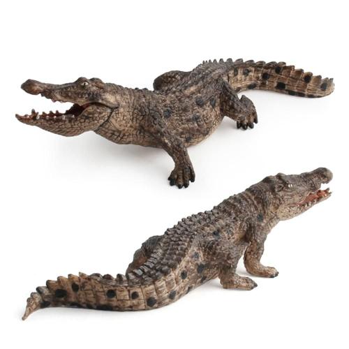 Figurine Crocodile En Plastique De 7.2 Pouces, Jouet, Modèle De Vie Sauvage, Éducatif, Cadeau, Décoration De Maison