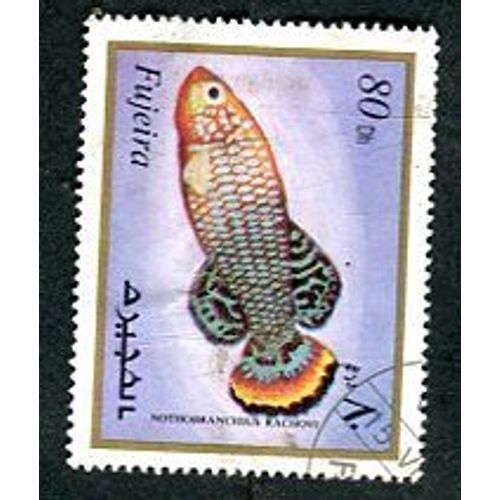 Timbre Oblitéré - " Vie Marine - Nothobranchius Rachovii " - Emirats Arabes Unis - 1972