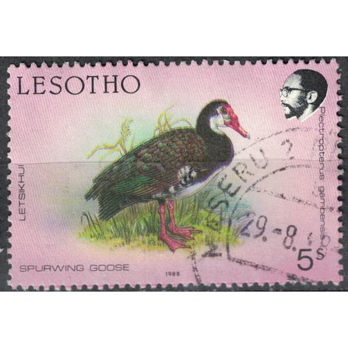 Lesotho 1988 Oblitéré Used Bird Oiseau Plectropterus Gambensis Oie Armée De Gambie Su