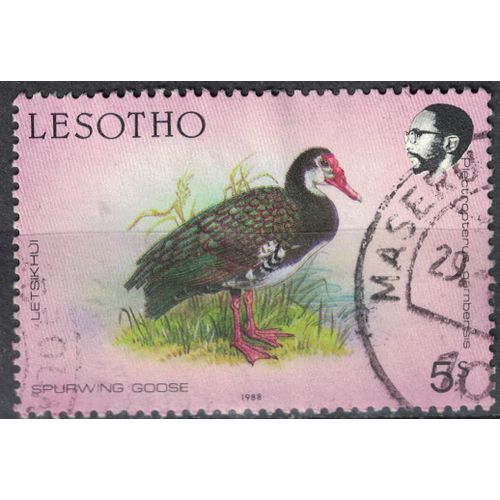 Lesotho 1988 Oblitéré Used Bird Oiseau Plectropterus Gambensis Oie Armée De Gambie Su
