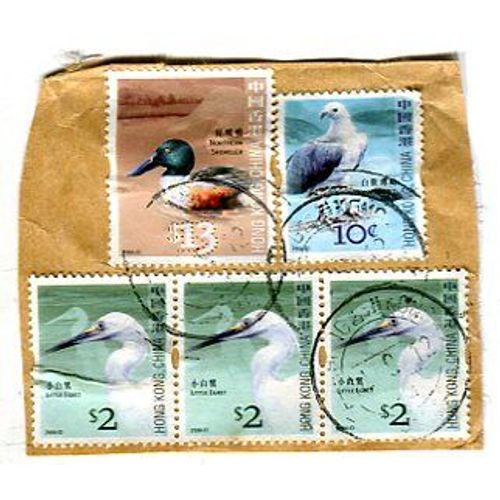 Timbres Oblitérés Sur Papier - Série " Birds " - Hong Kong - 2006