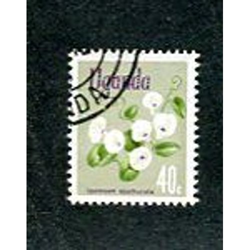 Timbre Oblitéré - " Ipomoea Spathulata " - Ouganda - 1969