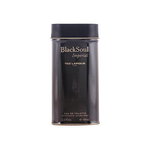 Parfum Homme Black Soul Imperial Ted Lapidus Edt 