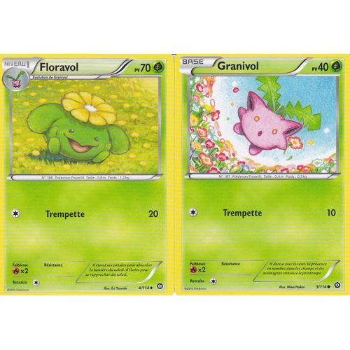 2 Cartes Pokemon - Floravol 4/114 Et Granivol 3 /114 - Xy11 Offensive Vapeur - Françaises