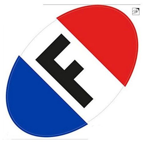 Autocollant F Drapeau Ovale France Sticker Bleu Blanc Rouge - Taille : 12 Cm