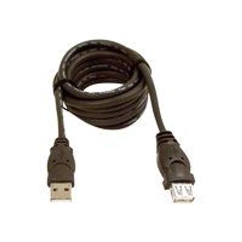 Belkin 6ft USB A/A 2.0 Extension Cable, M/F, 480Mps - Rallonge de câble USB - USB (M) pour USB (F) - USB 2.0 - 1.8 m - moulé