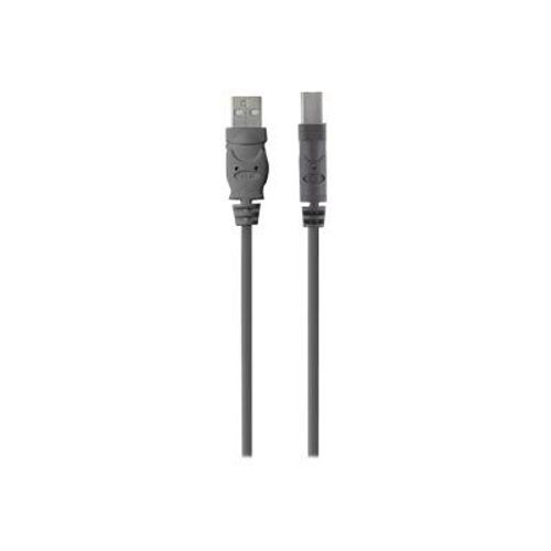 Belkin - Câble USB - USB (M) pour USB type B (M) - USB 2.0 - 1.8 m - Charbon