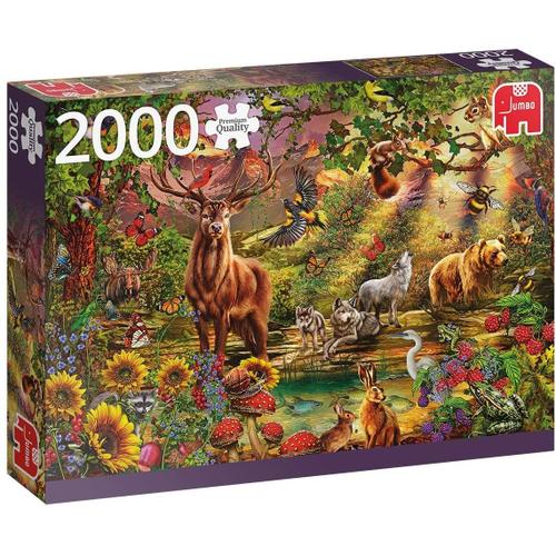 Puzzle 2000 Pièces Forêt Magique Au Coucher Du Soleil