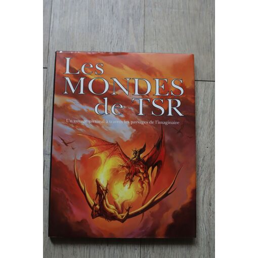 Les Mondes De TSR : Voyage Pictural Dans L'univers AD&D (livre Relié 1994, état Correct)