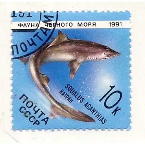Timbre Russie Oblitéré 1991 : Faune De La Mer Noire : Squalus Achantias, 10k