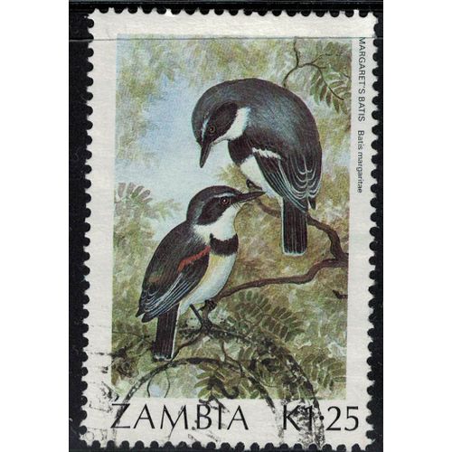 Zambie 1987 Oblitéré Used Oiseau Passereau Batis Margaritae De Margaret Ou De Boulton Su