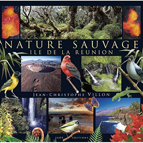 Nature Sauvage, Île De La Réunion