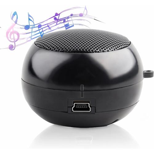 Haut-Parleur Portable sans Fil Bluetooth Mini Haut-Parleur avec 3.5mm Audio Mic HD Basse Puissante pour Iphone Ipad Tablet PC Portable dans Office & Travel -Noir