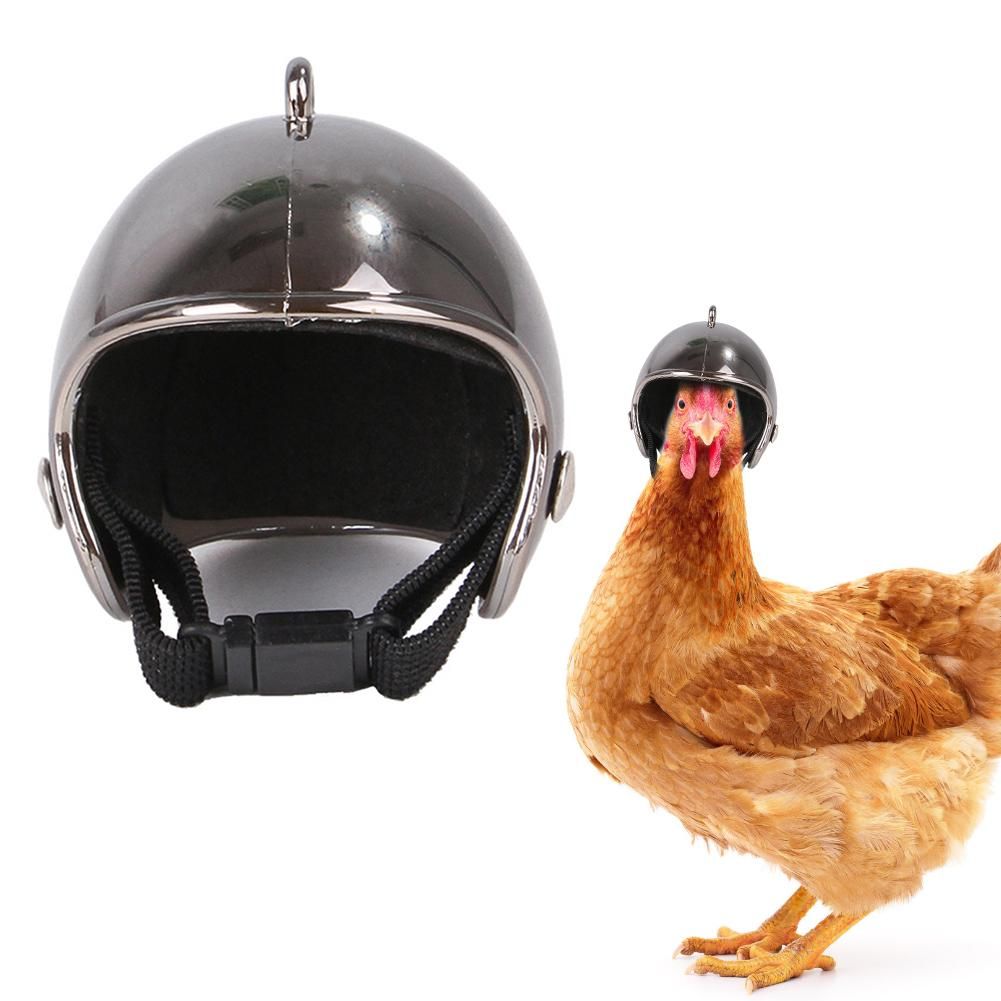 2020new Animal De Compagnie Beau Casque Jouet Moto Électrique Voiture Décoration Animal Masque Protection Cool Poulet Habiller