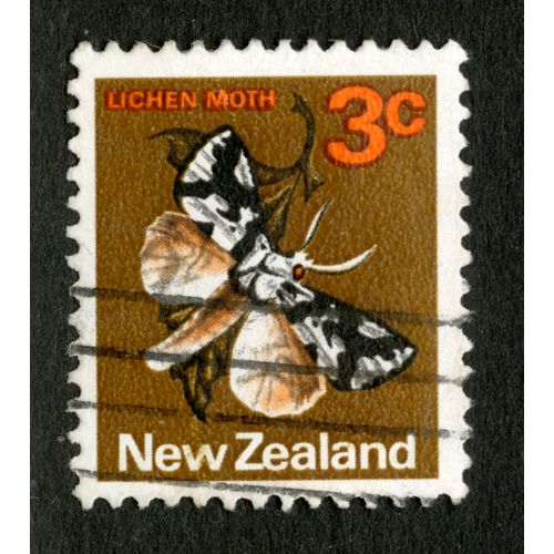 Timbre Oblitéré New Zealand, Lichen Moth, 3 C