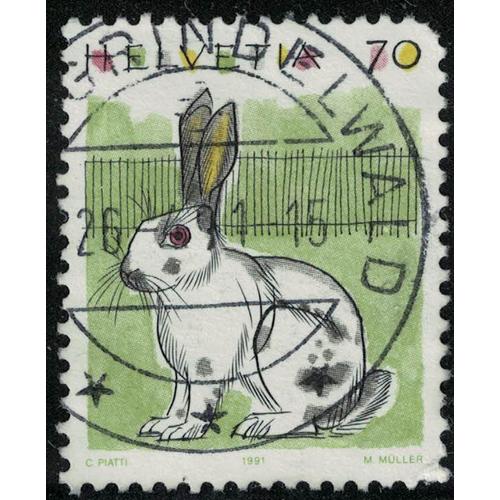 Suisse 1991 Oblitéré Used Animal Oryctolagus Cuniculus Domesticus Lapin Domestique Su