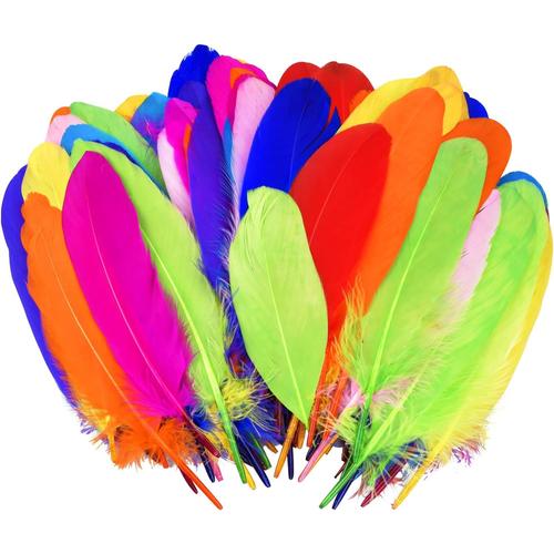 100 Pièces Plume Coloré De Nature, Multicolore Plume Décoration, Plume D'oie Creative Pour Diy Arts Crafts, Costumes, Chapeaux, Loisirs Créatifs, Fête, Mariage, Anniversaire