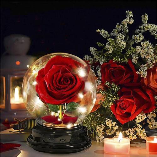 Rose Éternelle sous Cloche Rose en Velours de Soie dans Un Abat-Jour Pet Rose Artificielle avec Lumières LED Cadeau élégante pour Anniversaire Saint-Valentin Fête des Mères