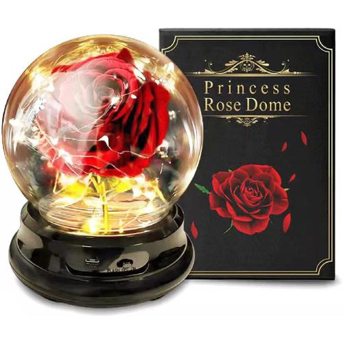 Beauty and The Beast Rose: Artificial Flower Rose Gift for Women Christmas Thanksgiving Valentin's Day Mother's Day Girlfriend Child Birthday