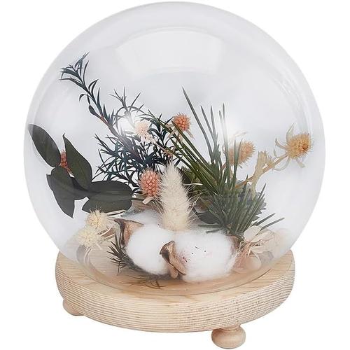 Dôme de Pot de Boule de Cloche en Verre Rond de 15 cm avec Base en Bois, Socles D'Affichage en Verre Transparent pour Centres de Table, Plantes, Roches, Décorations Artisanales, Tan